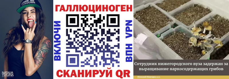 где можно купить наркотик  Озёрск  Галлюциногенные грибы Cubensis 